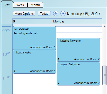 Simultaneous acupuncture appointments in the calendar area of the application