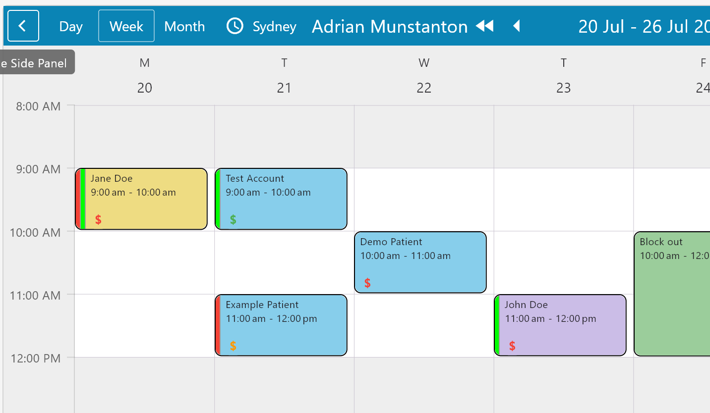 Practice Master Pro billing information linked to the appointment calendar