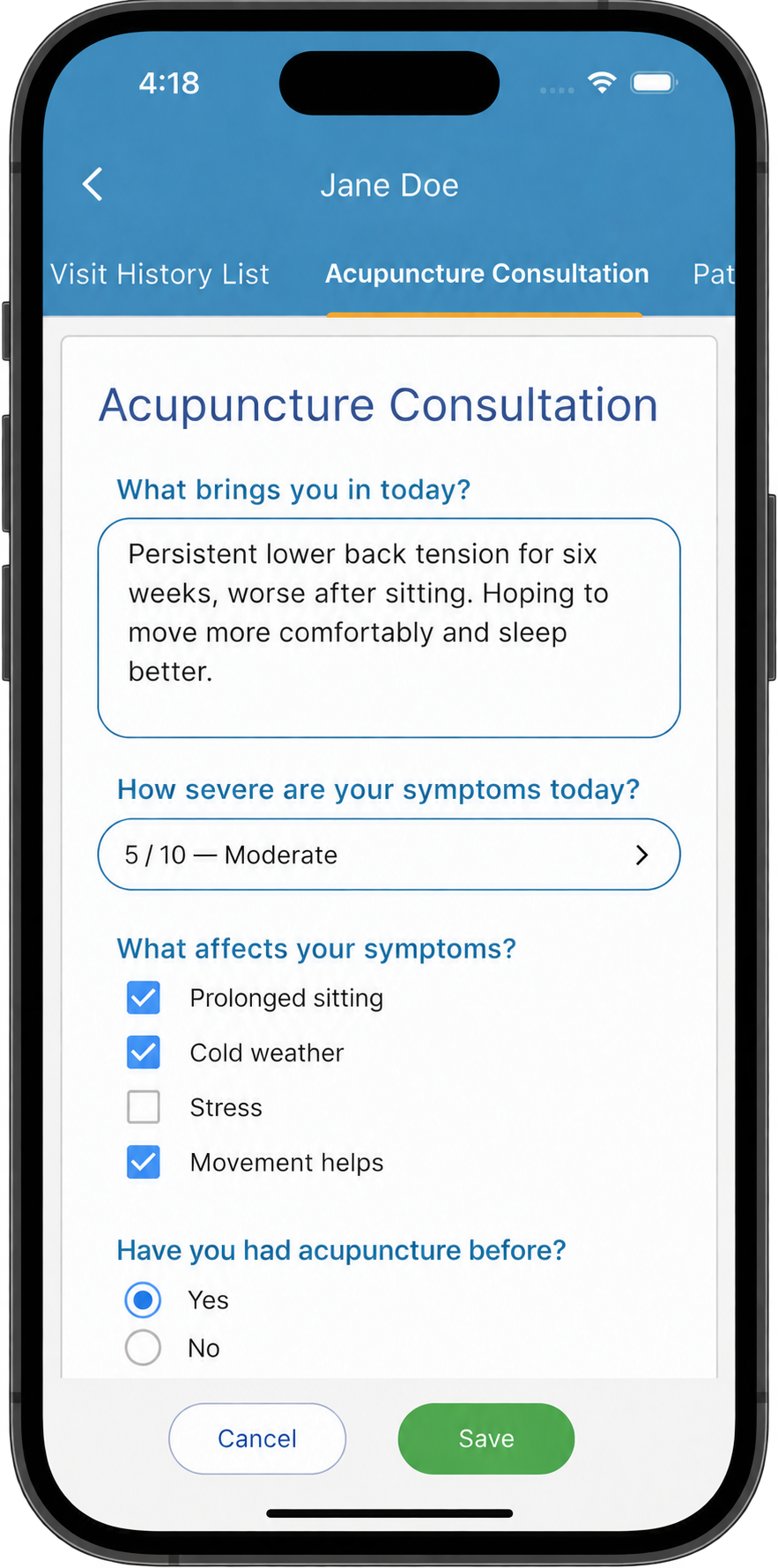 The acupuncture patient notes template open in the software