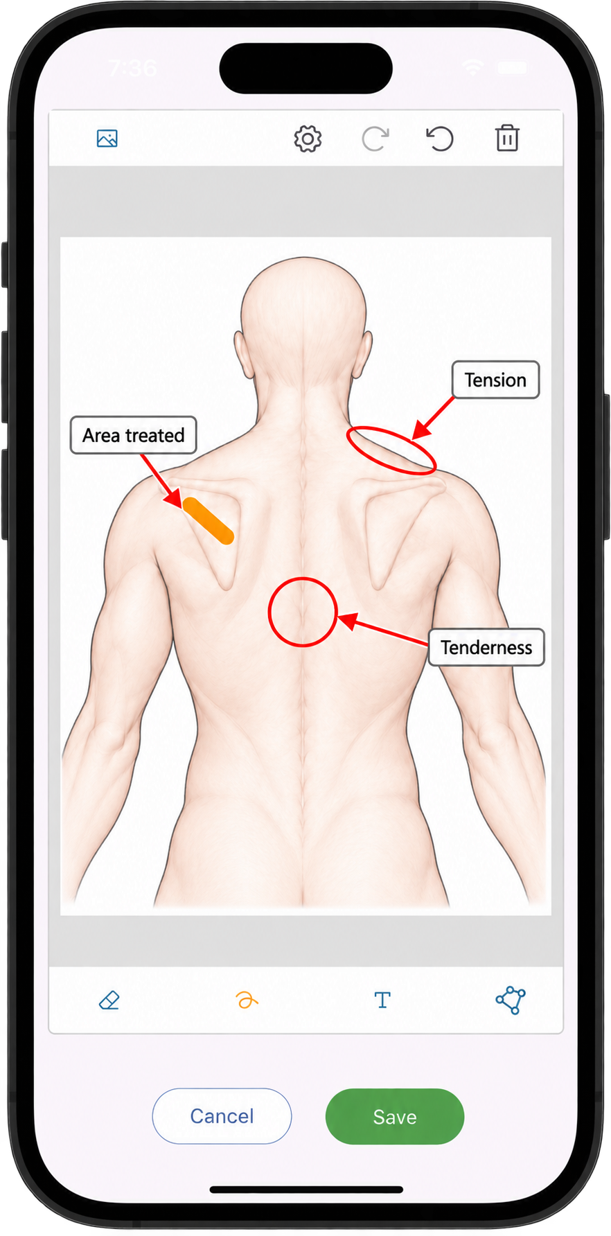 Diagrams tab showing massage therapy diagrams in Practice Master Pro patient notes