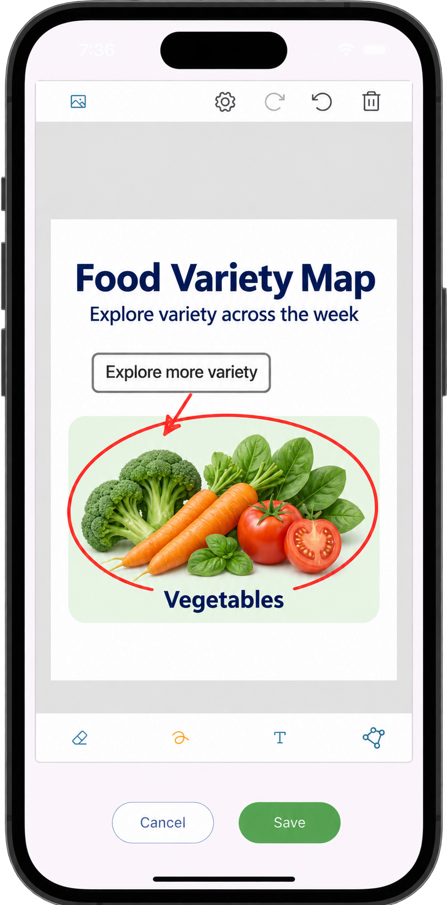 Diagrams tab showing nutritionist diagrams in Practice Master Pro patient notes